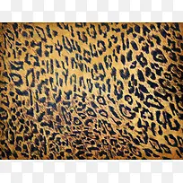 ���ɱ��Ʊ���ͼ��-������