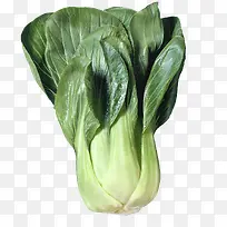 大颗绿色上海青-空若网 大颗绿色上海青-空若网