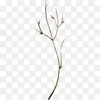 手绘的树枝-空若网 手绘的树枝-空若网