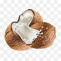 椰子-空若网 椰子-空若网