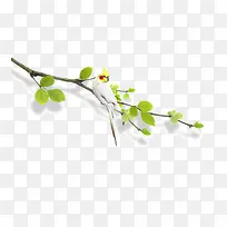 春天素材-空若网 春天素材-空若网