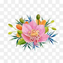 �ֻ滨�����Ҷ��װ��-������