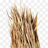 创意秋日干枯草丛-空若网 创意秋日干枯草丛-空若网