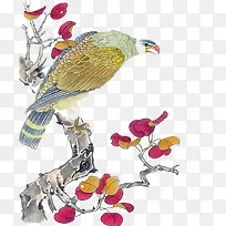 ��֦�ϵ�ӥ���ʻ�ͼƬ-������