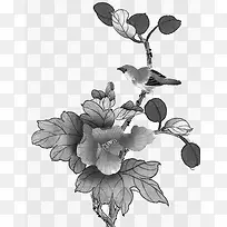 ��֦-������