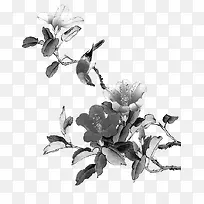 树枝-空若网 树枝-空若网