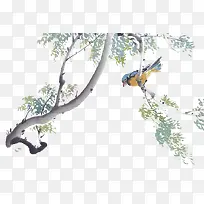 Ê÷Ö¦-¿ÕÈôÍø Ê÷Ö¦-¿ÕÈôÍø