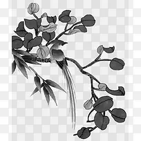 树枝-空若网 树枝-空若网