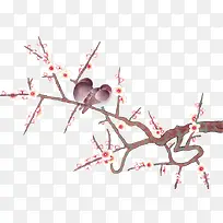 Ê÷Ö¦-¿ÕÈôÍø Ê÷Ö¦-¿ÕÈôÍø