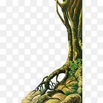 侏罗纪树-空若网 侏罗纪树-空若网