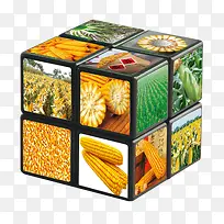 蔬菜魔方-空若网 蔬菜魔方-空若网