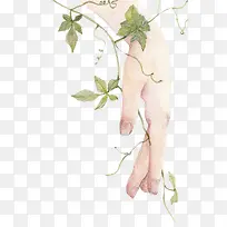 �廭��ϸ����-������