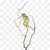 创意树枝上的钱币-空若网 创意树枝上的钱币-空若网