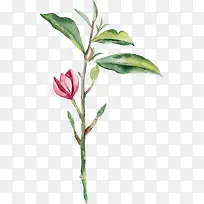 ˮ�ʲ軨-������