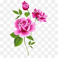 »¨¶ä-¿ÕÈôÍø »¨¶ä-¿ÕÈôÍø