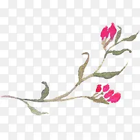 红色花朵-空若网 红色花朵-空若网