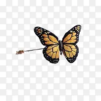 ������Ʋ�������-������