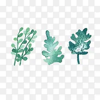 Ê÷Ò¶-¿ÕÈôÍø Ê÷Ò¶-¿ÕÈôÍø