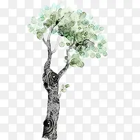 Ë®²Ê»´óÊ÷-¿ÕÈôÍø Ë®²Ê»´óÊ÷-¿ÕÈôÍø