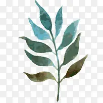 ˮ�ʻ� ֲ��  ���� �ֻ� ��Ҷ-������