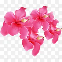 摄影活动海报红色花朵设计-空若网 摄影活动海报红色花朵设计-空若网