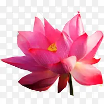 摄影女装海报活动莲花效果-空若网 摄影女装海报活动莲花效果-空若网