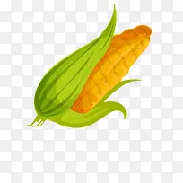 手绘玉米-空若网 手绘玉米-空若网