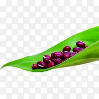 绿色树叶红豆创意-空若网 绿色树叶红豆创意-空若网