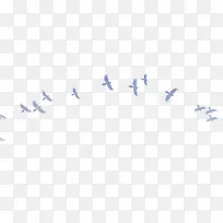 喜鹊-空若网 喜鹊-空若网