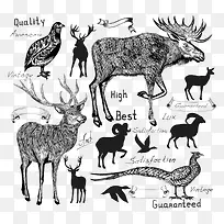 动物素描-空若网 动物素描-空若网