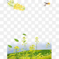 春季油菜花装饰边框创意设计-空若网 春季油菜花装饰边框创意设计-空若网