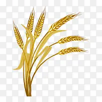 丰收 插画-空若网 丰收 插画-空若网