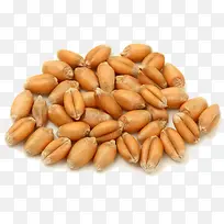 稻谷-空若网 稻谷-空若网