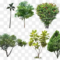 ��ľ�ز�-������