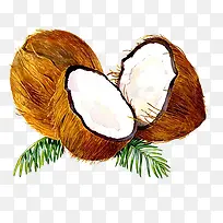 手绘椰子插画-空若网 手绘椰子插画-空若网
