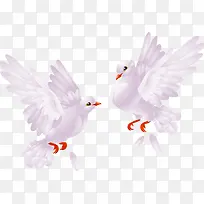 ��ͨ�׸�-������