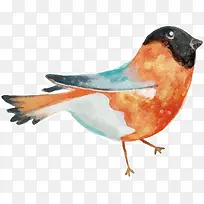 С���ֻ��й���-������