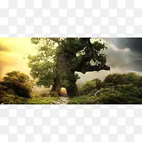 �λù���ɭ���羰-������