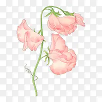 耷拉粉红色花朵的树枝-空若网 耷拉粉红色花朵的树枝-空若网