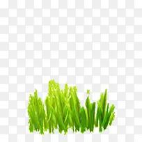 �̲� ����-������