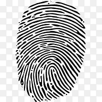 指纹-空若网 指纹-空若网