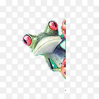 ���� 3D �ֻ�-������