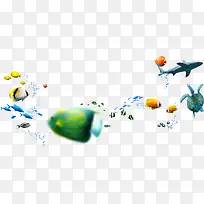 海洋生物素材夏日素材-空若网 海洋生物素材夏日素材-空若网