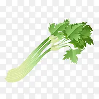 矢量芹菜叶子-空若网 矢量芹菜叶子-空若网