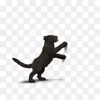 猫肉尾动物黑豹-空若网 猫肉尾动物黑豹-空若网