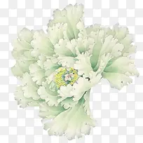 高清摄影创意白色的海棠花-空若网 高清摄影创意白色的海棠花-空若网