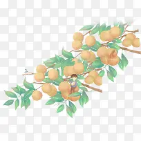 手绘果树与树叶装饰-空若网 手绘果树与树叶装饰-空若网