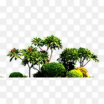 �羰����Ӱ��ɫ��ֲ��԰��-������