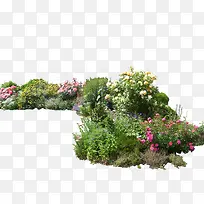 高清摄影景区鲜花园林植物-空若网 高清摄影景区鲜花园林植物-空若网