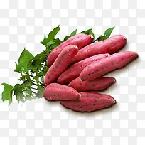 番薯-空若网 番薯-空若网